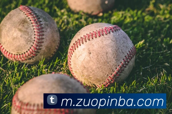 nba投注网站APP 高清赛事图